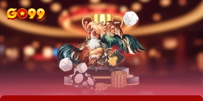 Tổ hợp kèo cược chọi chiến kê để đặt tiền